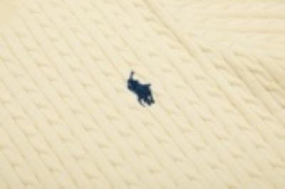 wholesale quality men ralph lauren polo shirts model no. 2801